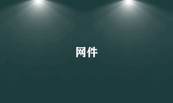 网件