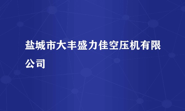 盐城市大丰盛力佳空压机有限公司