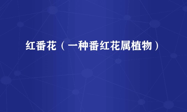 红番花（一种番红花属植物）