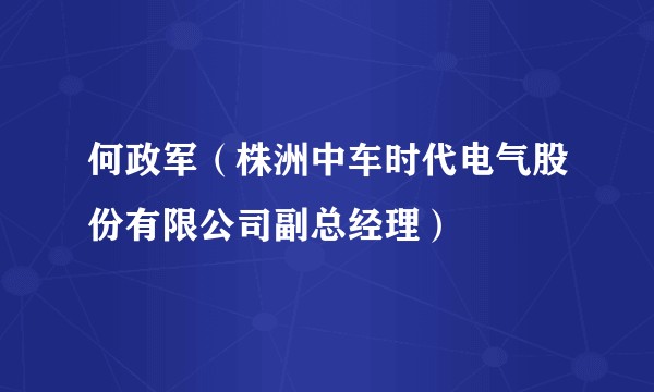 何政军（株洲中车时代电气股份有限公司副总经理）