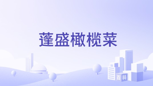 蓬盛橄榄菜