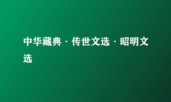 中华藏典·传世文选·昭明文选
