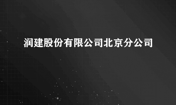 润建股份有限公司北京分公司