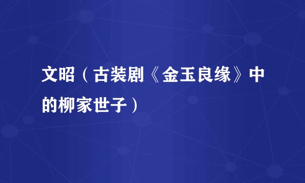 文昭（古装剧《金玉良缘》中的柳家世子）