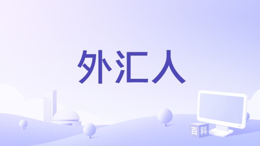 外汇人