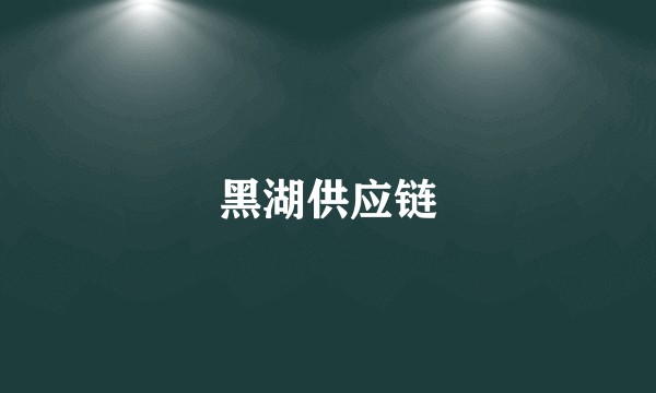 黑湖供应链