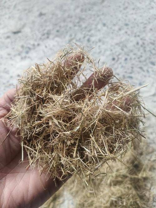稻草(一种天然植物纤维材料)