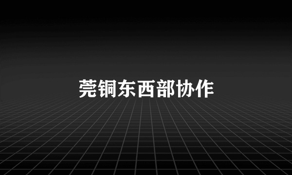 莞铜东西部协作