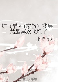 综(猎人+家教)我果然最喜欢飞坦了