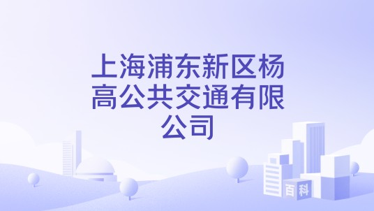 上海浦东新区杨高公共交通有限公司
