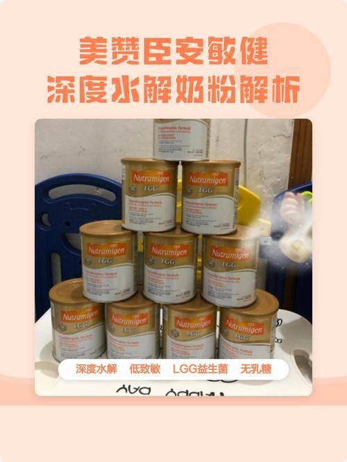 美赞臣安敏健