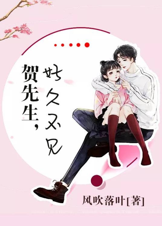 贺先生，好久不见