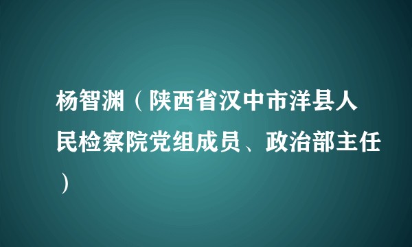 杨智渊(陕西省汉中市洋县人民检察院党组成员、政治部主任)