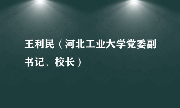 王利民（河北工业大学党委副书记、校长）