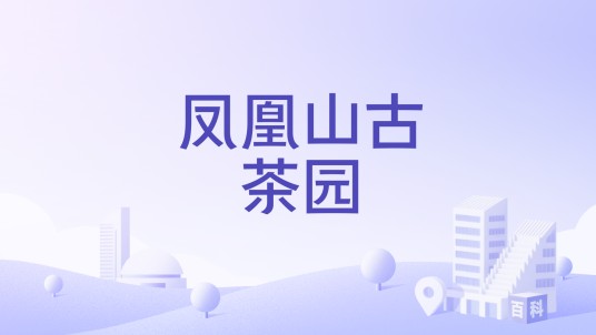 凤凰山古茶园