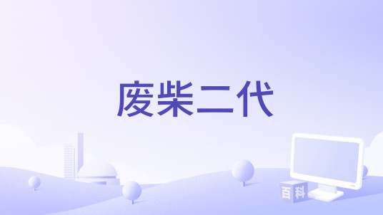 废柴二代