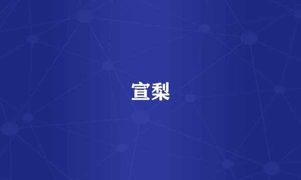 宣梨