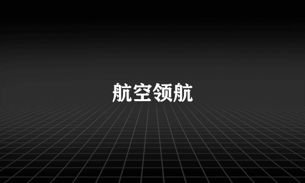 航空领航