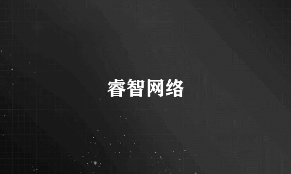 睿智网络