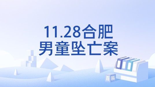 11.28合肥男童坠亡案
