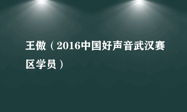 王傲(2016中国好声音武汉赛区学员)