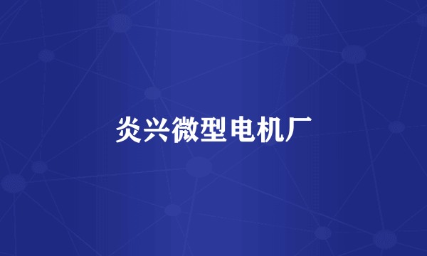 炎兴微型电机厂