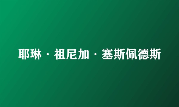 耶琳·祖尼加·塞斯佩德斯