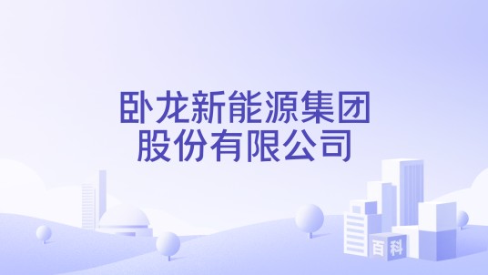 卧龙新能源集团股份有限公司