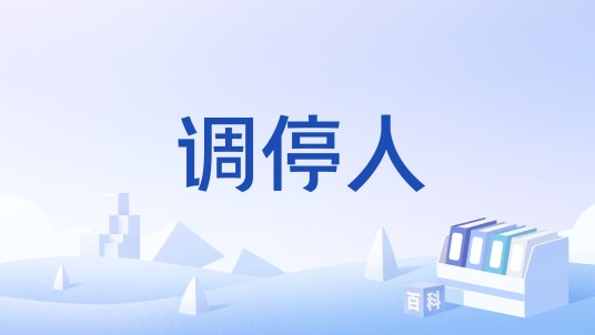 调停人