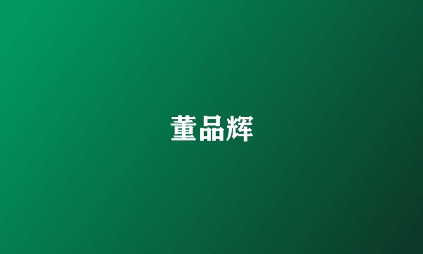 董品辉