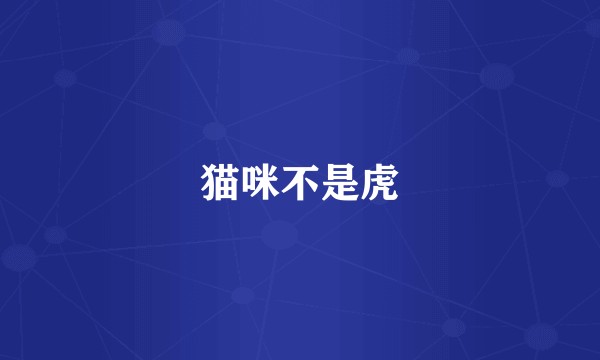 猫咪不是虎