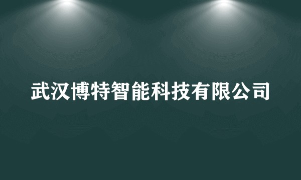 武汉博特智能科技有限公司