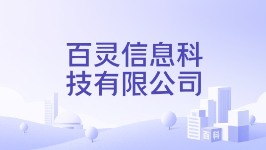 百灵信息科技有限公司