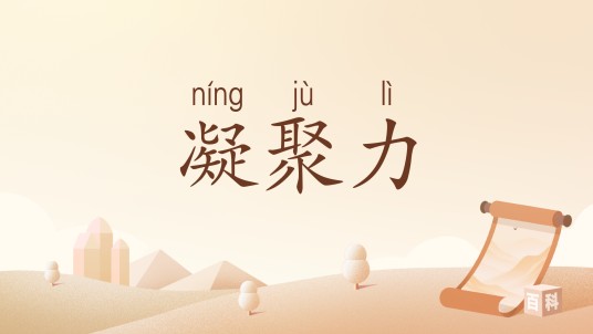 凝聚力(汉语词汇)