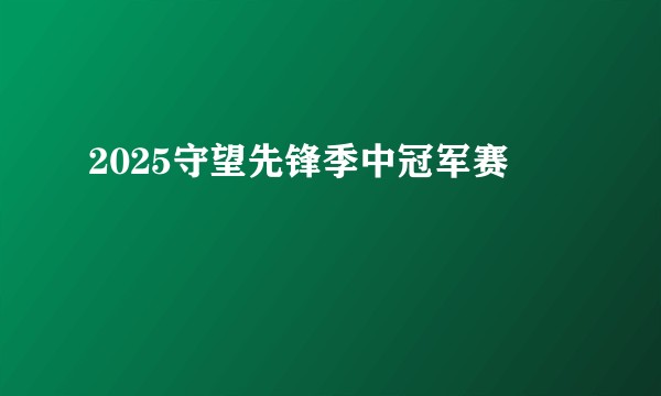 2025守望先锋季中冠军赛
