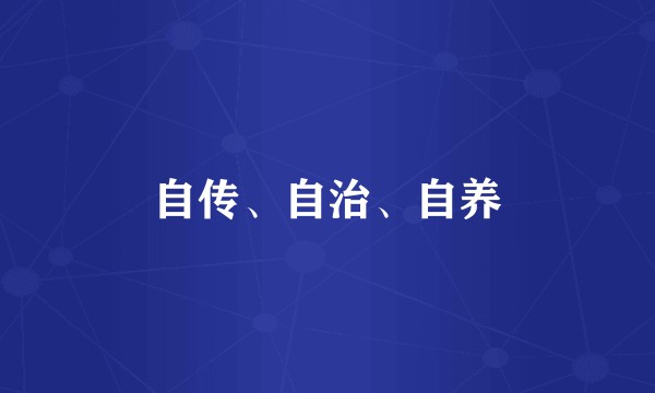 自传、自治、自养