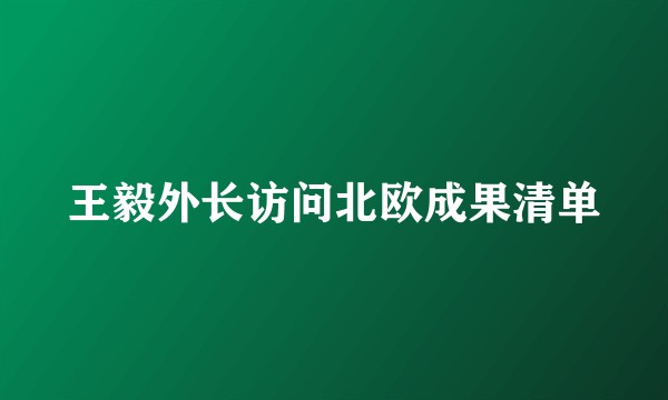 王毅外长访问北欧成果清单