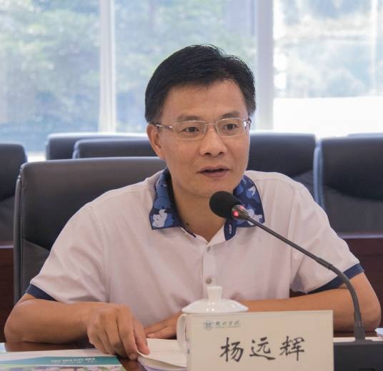 杨远辉（广东省惠州大亚湾经济技术开发区党工委原委员、管委会原副主任）