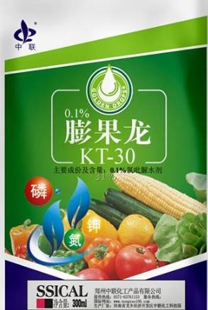 吡效隆