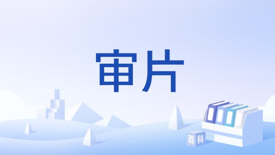 审片