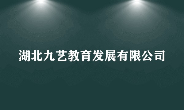湖北九艺教育发展有限公司