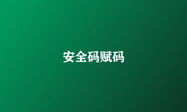 安全码赋码