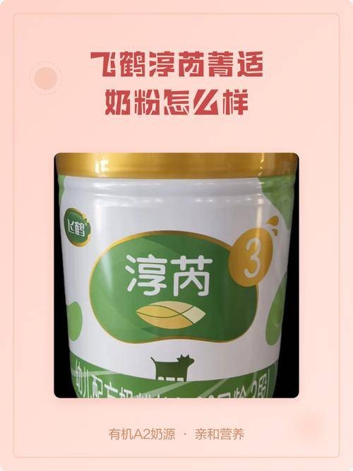 淳芮菁适