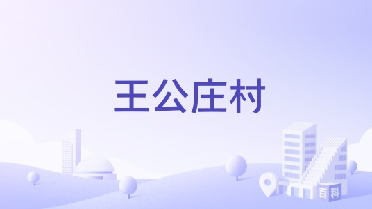 王公庄村（河南省商丘市民权县北关镇下辖村）