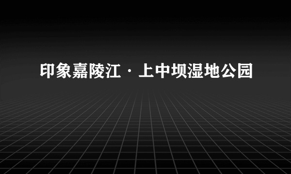 印象嘉陵江·上中坝湿地公园
