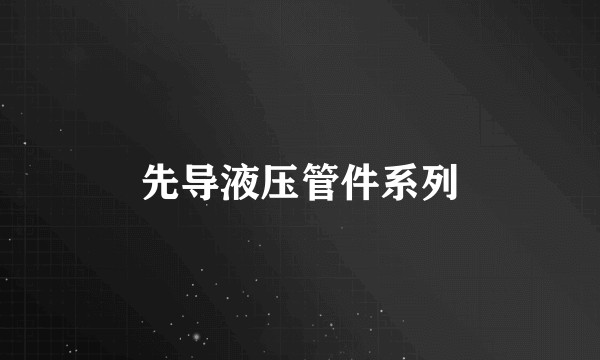 先导液压管件系列