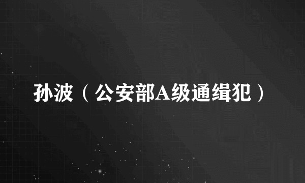 孙波（公安部A级通缉犯）