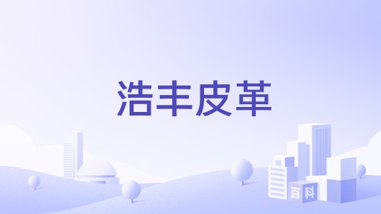 浩丰皮革