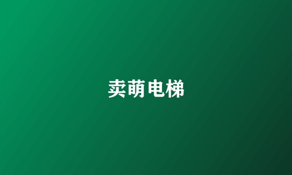 卖萌电梯