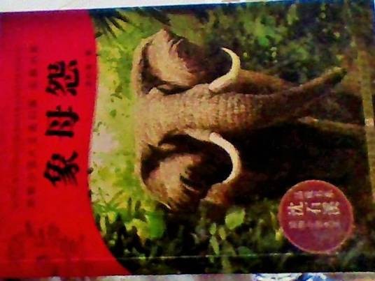 象母怨（2009年中国少年儿童出版社出版的图书）